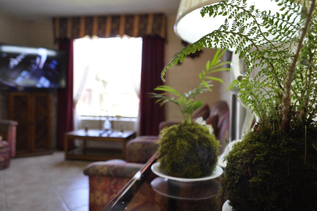 Santa Elena De Maipo Home Temuco Zewnętrze zdjęcie